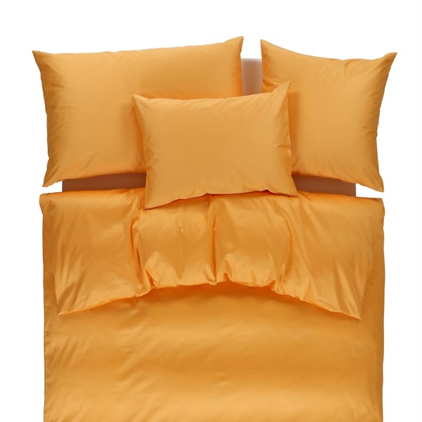 hellorange_20250405091801.jpg